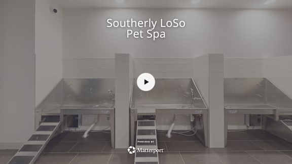 Southerly LoSo Pet Spa Virtual Tour