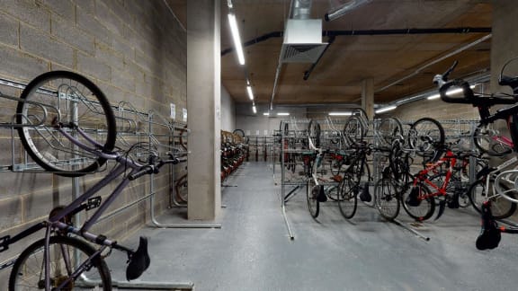 a collection of bikes in a storage room