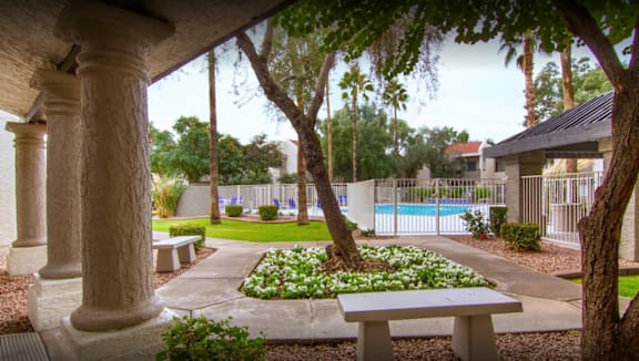 A garden with a bench and a pool in the background.