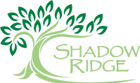 a tree with the shadow logo