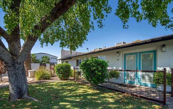 a backyard with a tree and a house with a fence