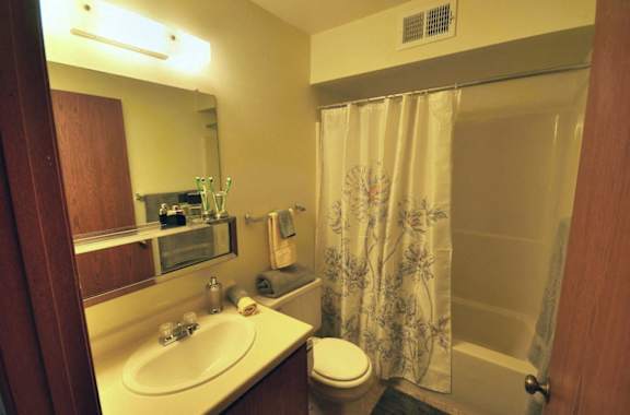 a bathroom with a sink and a toilet and a shower