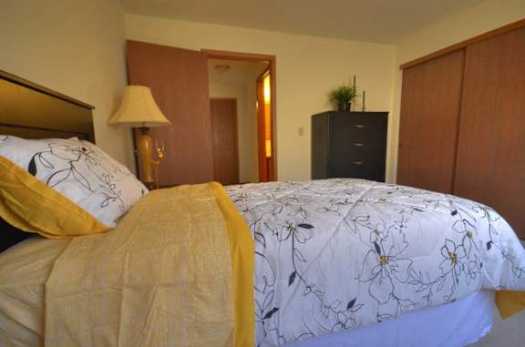a bedroom with a bed and a dresser