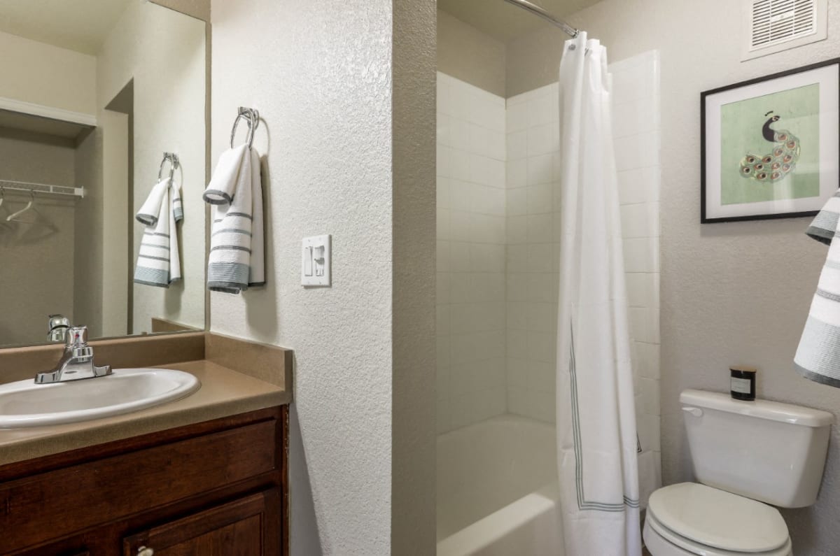 Copper Flats bathroom vanity and shower - Aurora, CO