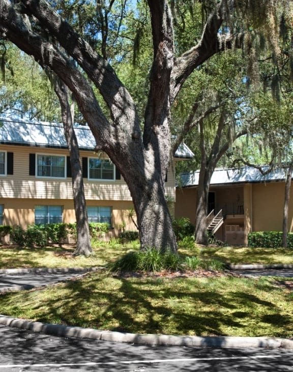 the building where the resort is located