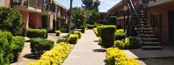 A sunny day at a residential complex with a palm tree in the middle.