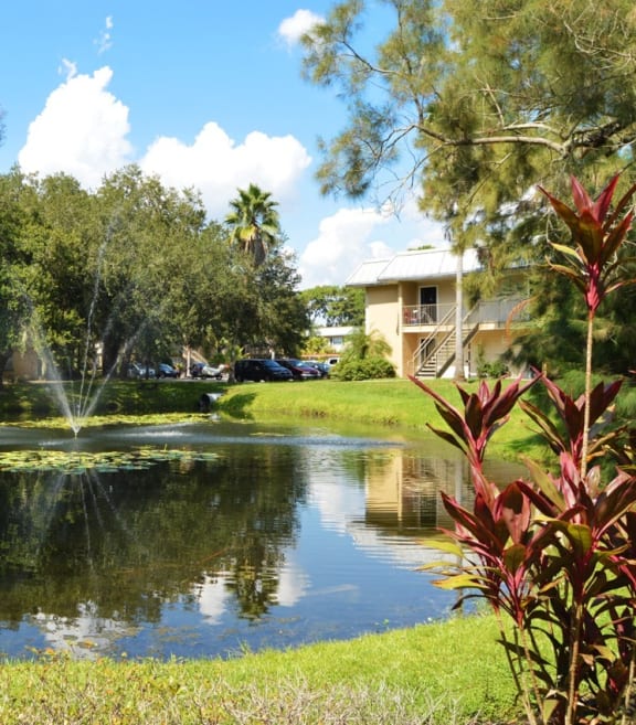 a small pond with a fountain in the middle