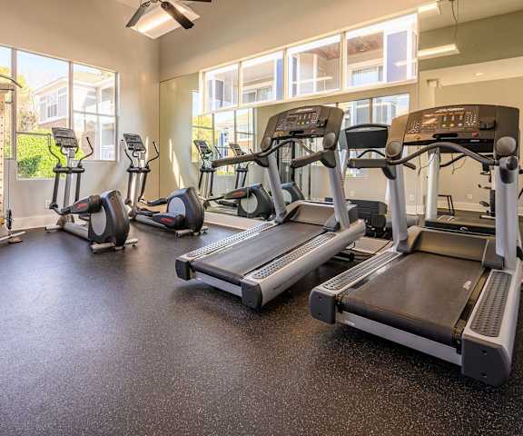 A spacious gym with cardio machines, windows, TVs, and weights at Retreat at McAlpine Creek Apartment Homes. 