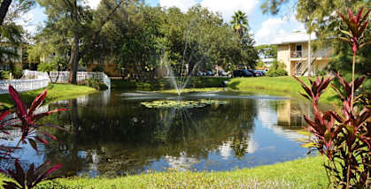 a small pond with a fountain in the middle