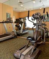 A gym with treadmills, exercise bikes and other equipment.