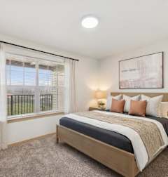 A well-lit bedroom with a large bed and a potted plant.