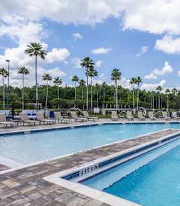 Saltwater Beach Entry Pool at The Oasis at Highwoods Preserve, Florida, 33647