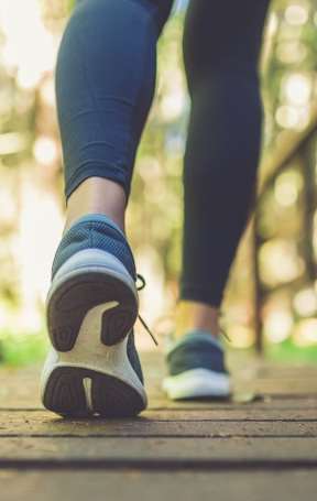 A person is walking on a wooden path in the woods.