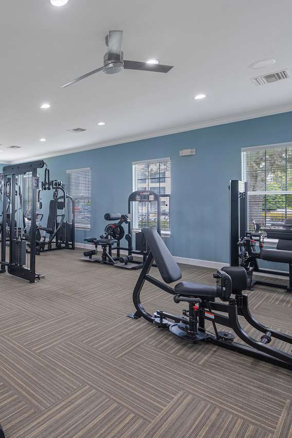 a fitness center with cardio equipment and weights in a gym