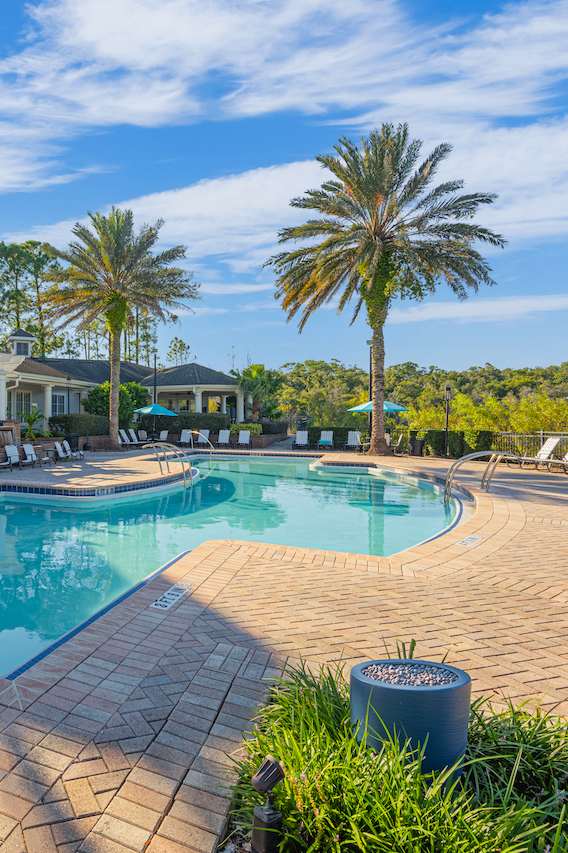 a swimming pool with palm trees in front of a house