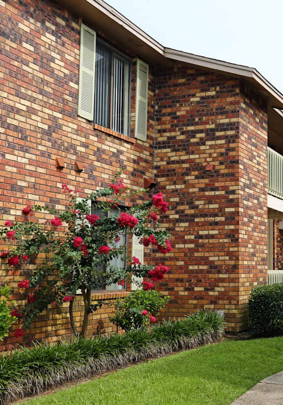 A brick building with a red flower bush on the left.