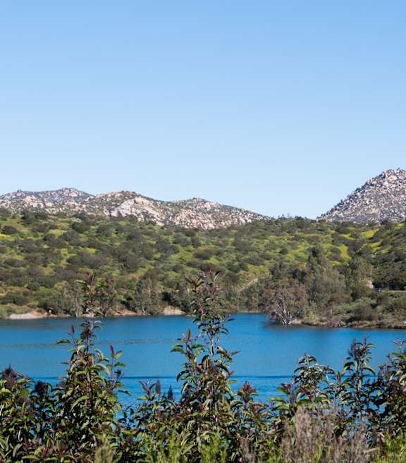 A lake surrounded by greenery and mountains.