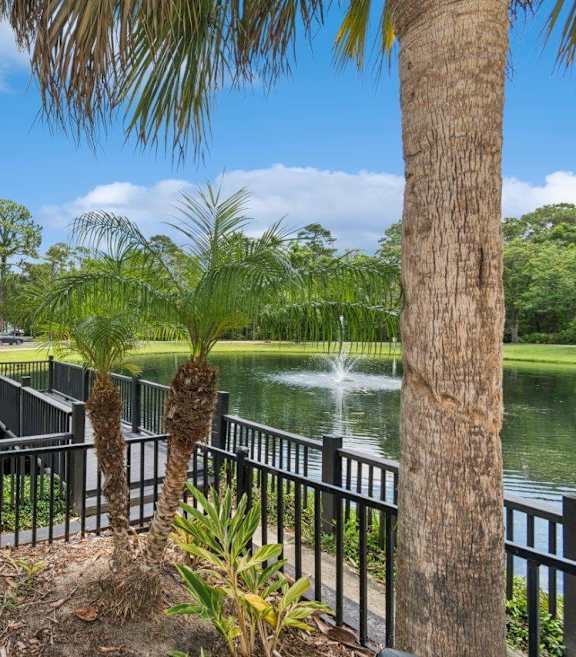 Lake view surrounded by palm trees at Mirage at Kernan Apartment in Jacksonville, FL