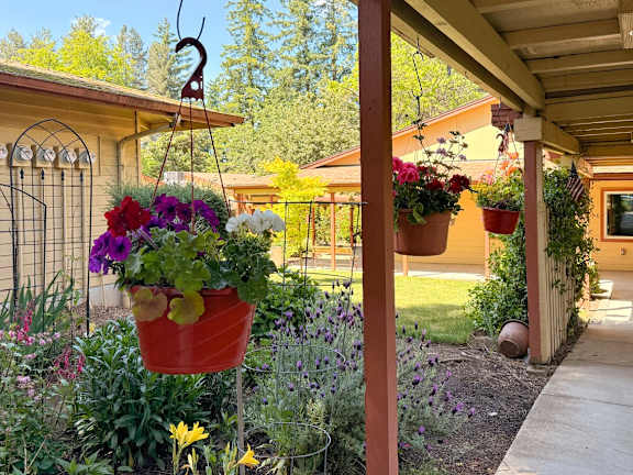 A garden with a variety of flowers in a red pot.