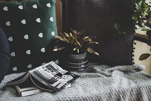 A planter and a book resting on a blanket, creating a cozy vibe.