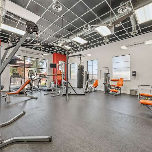 A gym with a variety of equipment including a squat rack, bench press, and a rowing machine.