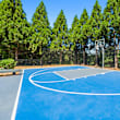 Basketball Court at Caveness Farms Apartments, Wake Forest, NC