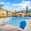 resort style pool with trees at San Fernando Apartments, Arizona