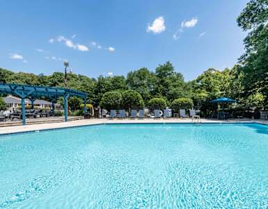 A large blue swimming pool surrounded by trees and lounge chairs.
