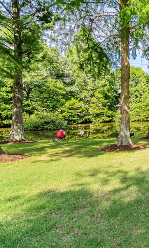 A pathway in a park with trees on either side.