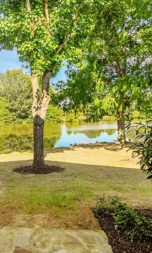A garden with a pond and a white fence.
