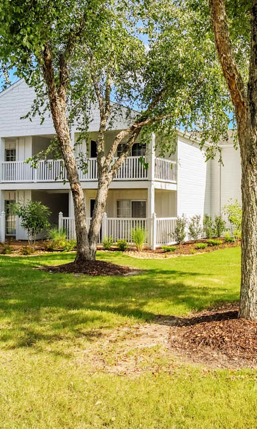A tree in a grassy area in front of a white building.