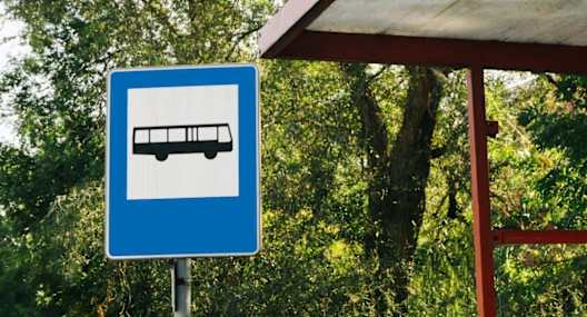 A bus stop sign is shown in front of a shelter with trees in the background.