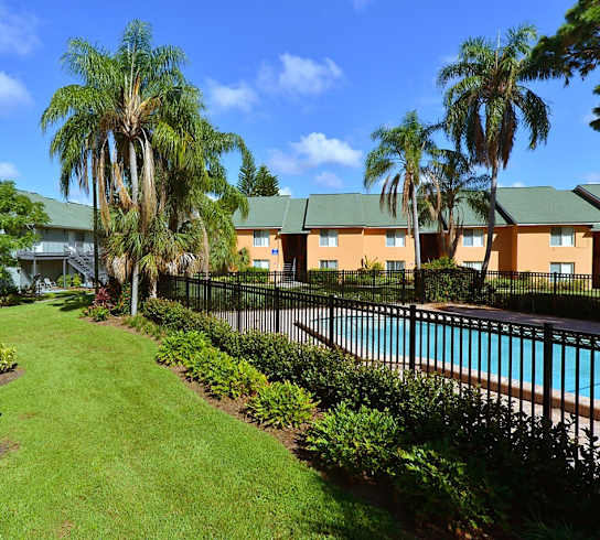 A pool surrounded by a green fence and a grassy area with a palm tree.