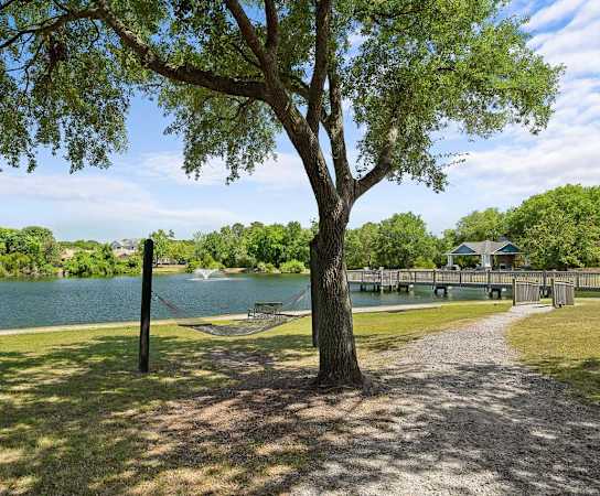 A tree stands in the foreground of a park with a lake in the background.