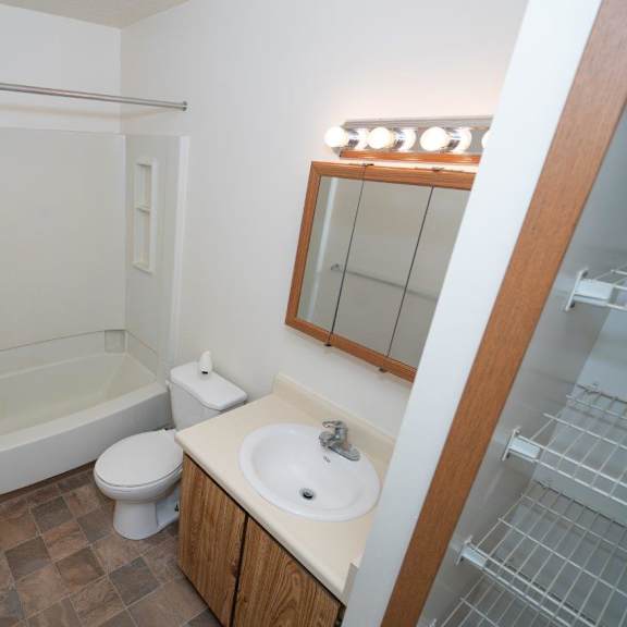 a bathroom with a sink and a toilet and a shower