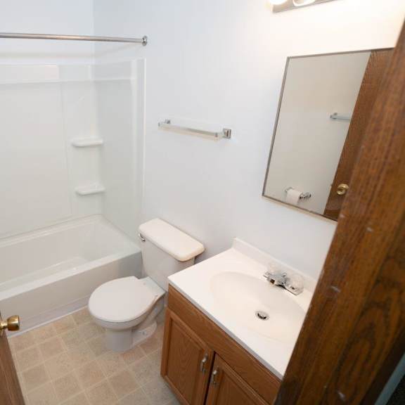 a bathroom with a sink and a toilet and a shower