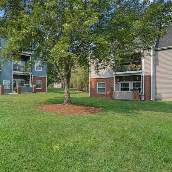 A tree in a grassy area in front of apartment buildings.