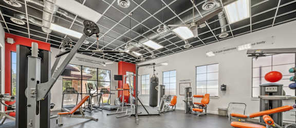 A gym with a variety of equipment including a squat rack, bench press, and a rowing machine.
