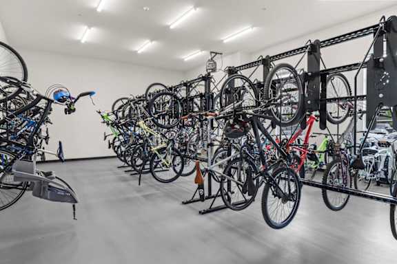 Vintage Bike Hanging on Wall