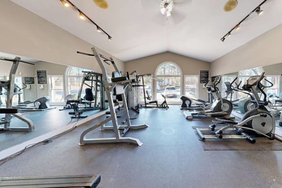 the gym in the owners home is equipped with cardio equipment and weights