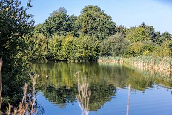 a park with a lake and trees and a bus