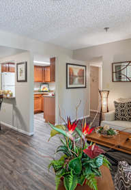 Living room with a couch at Palazzo Senior Apartments - 55+ Active Adult Apartments, Phoenix, 85015