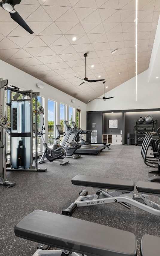 Bright Gym at Kinline, Oregon