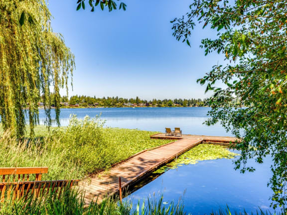 a dock on a lake near a weeping willow tree