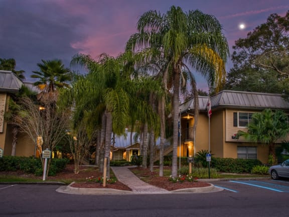 a street with palm trees in front of a hotel at night