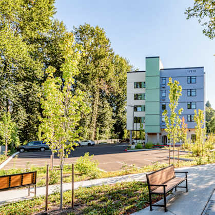 A tree-lined street with a bench and a building in the background.