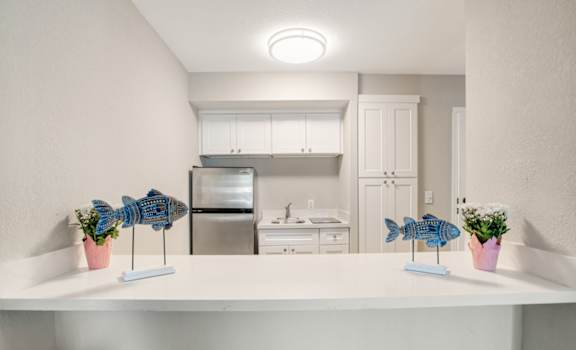 a kitchen with a counter top with fish