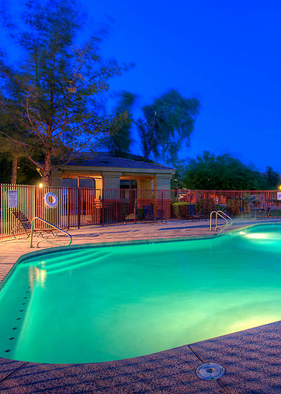 A large swimming pool surrounded by palm trees and lounge chairs.