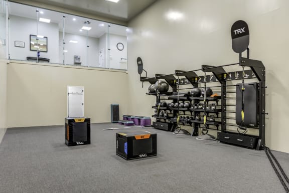 Fitness Center with free weights, TRX suspension training system, and plyo boxes.