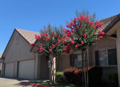 Thumbnail 2 of 11 - Nees Park Exterior